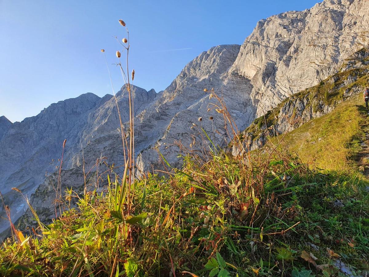 Ferienwohnungen Gaestehaus Laercheck Berchtesgaden Exteriör bild